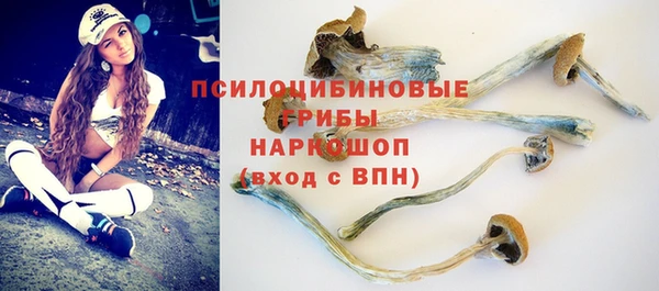спиды Белоозёрский