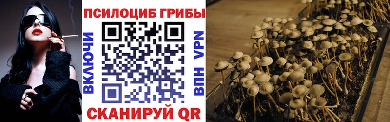цены Горно-Алтайск Галлюциногенные грибы GOLDEN TEACHER